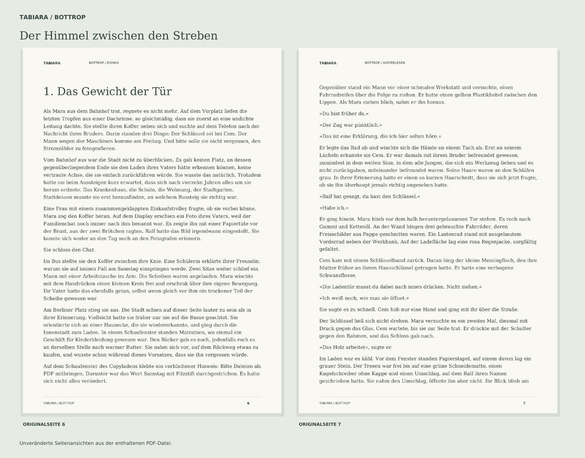 Der Himmel zwischen den Streben – German Novel Set in Bottrop (PDF, EPUB)