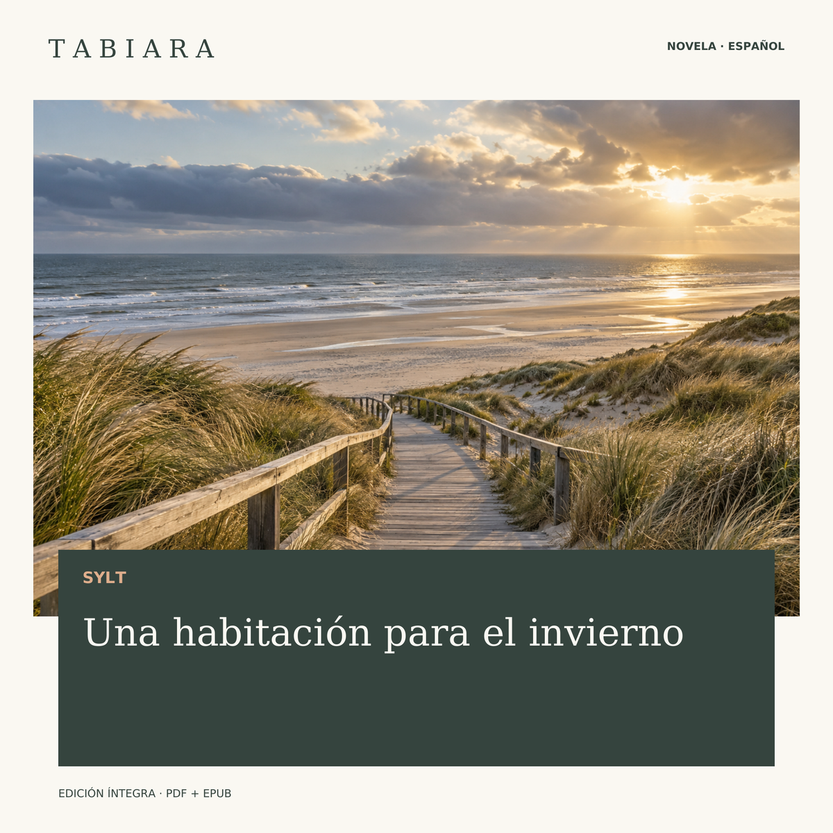 Una habitación para el invierno – portada (ilustración)
